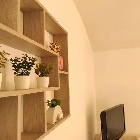 Le Comte Febus - Focalimmo *