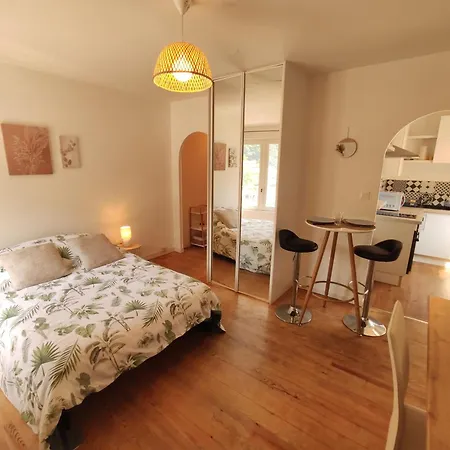 Le Comte Febus - Focalimmo