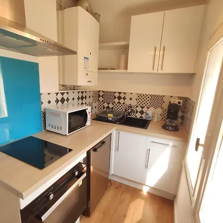 Le Comte Febus - Focalimmo Foix