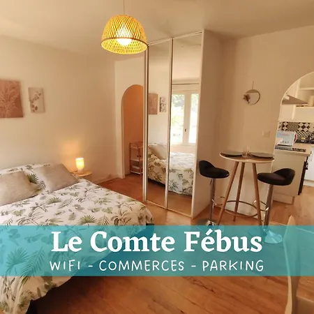 Apartament Le Comte Febus - Focalimmo Foix