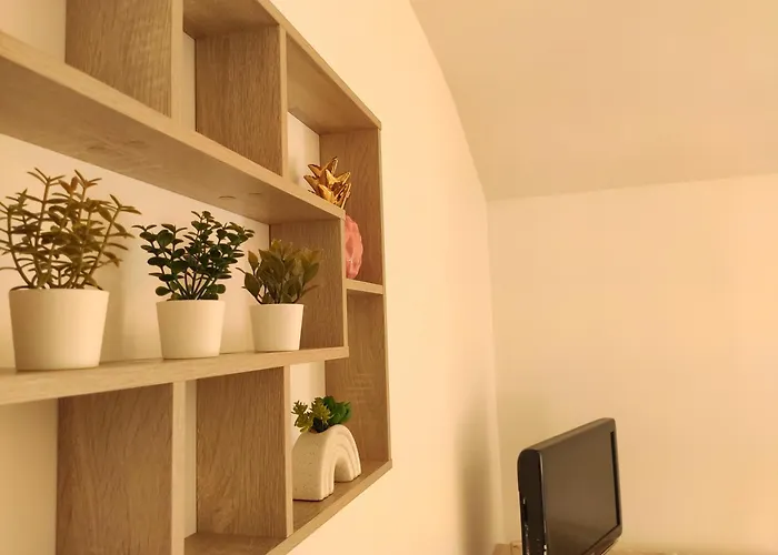 Le Comte Febus - Focalimmo *