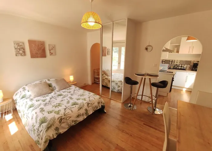 Le Comte Febus - Focalimmo