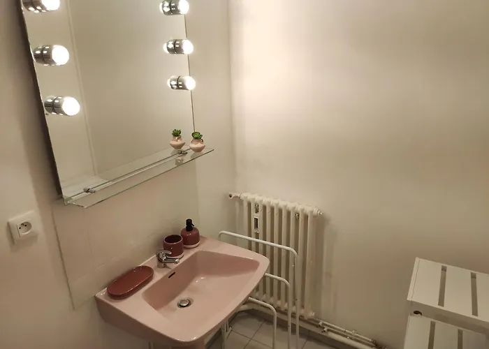 Le Comte Febus - Focalimmo *