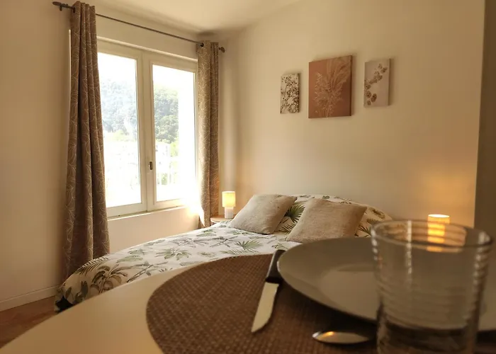 Apartment Le Comte Febus - Focalimmo Foix