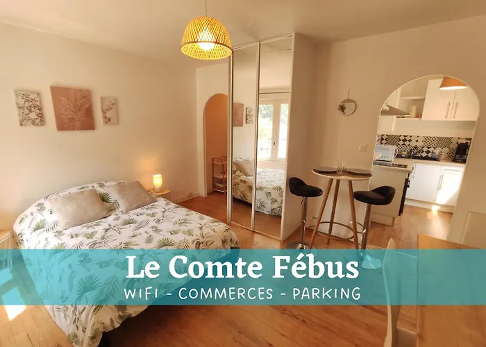 Apartment Le Comte Febus - Focalimmo Foix